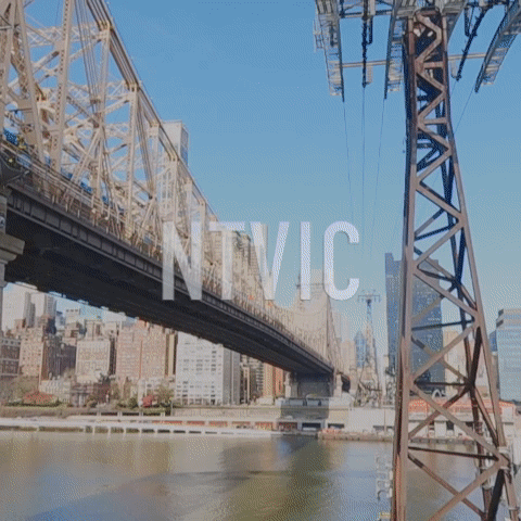 NTV International